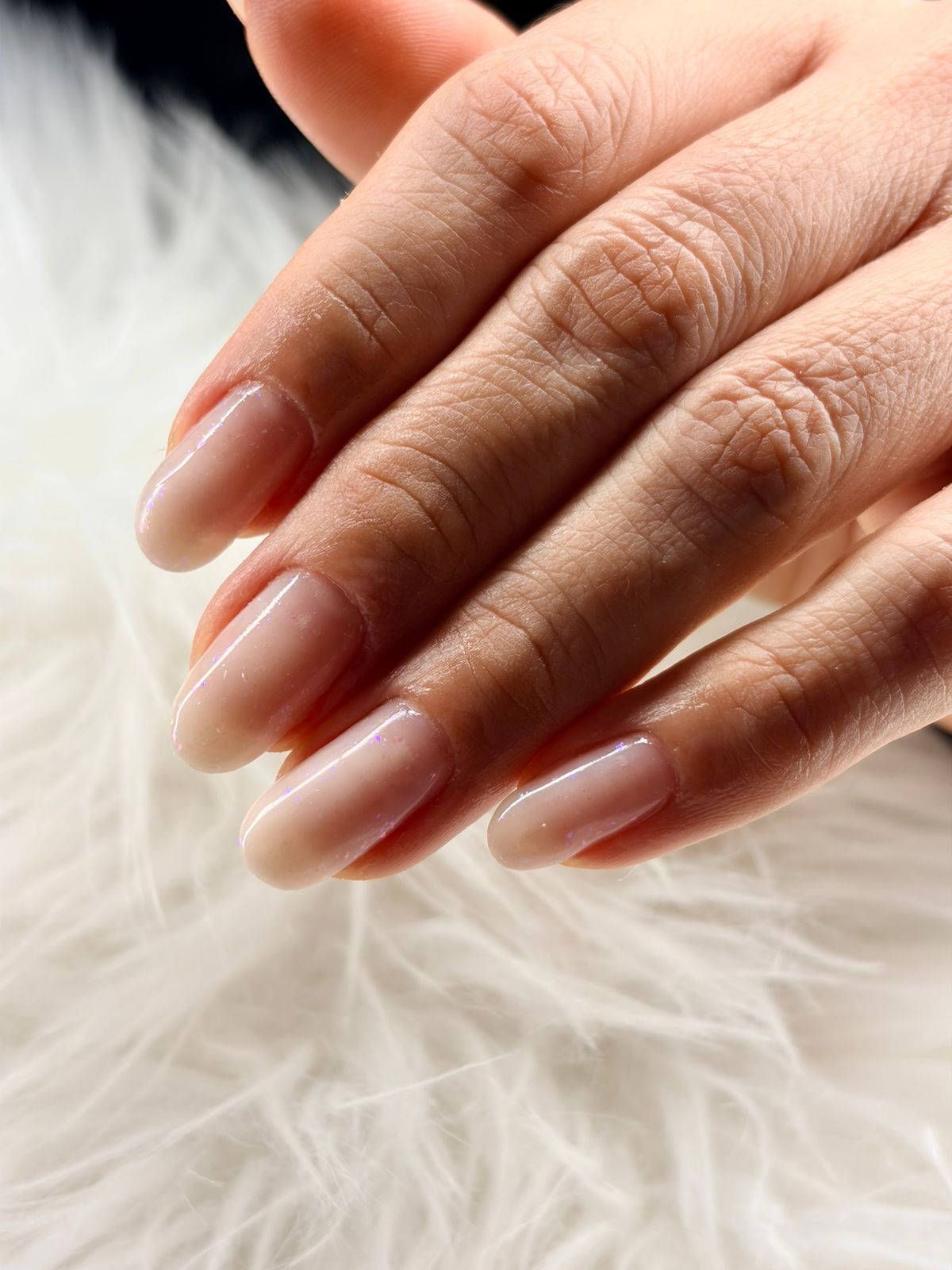 WhatsApp Image 2026-01-19 at 23.27.14